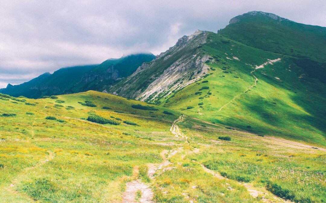 Bladder Pacemaker Surgery Phoenix: Complete Patient Guide to Sacral Neuromodulation